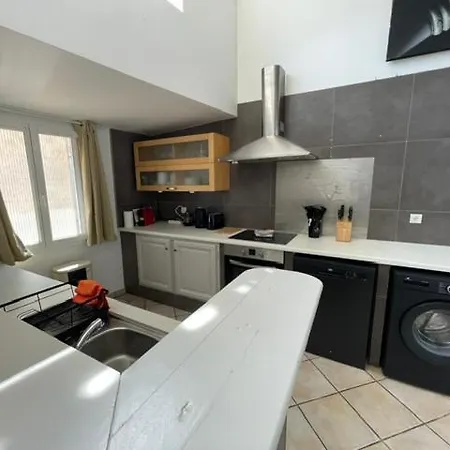 Vous Viendrez Vivre Ici Le Chene 4 Loft 150m2 Roof Barbecue *
